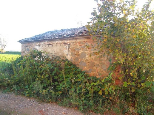 immagine annuncio 4 di 6