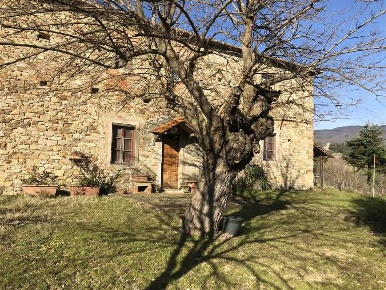 Foto Rustico in Via San Piero a Basciano nc, Pontassieve di 600 m²
