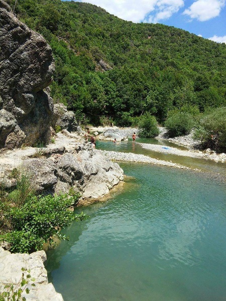 immagine annuncio 8 di 13