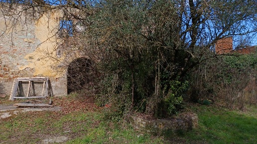 immagine annuncio 3 di 12