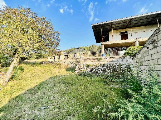 immagine annuncio 4 di 6