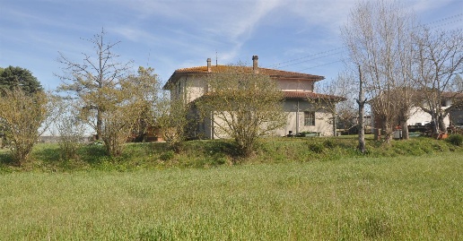 Foto Rustico in Strada Provinciale del Piano della Tora, Fauglia di 300 m²