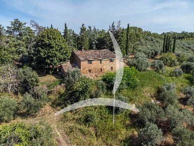 Foto Rustico a Asciano Centro di 400 m² con 15 locali in vendita