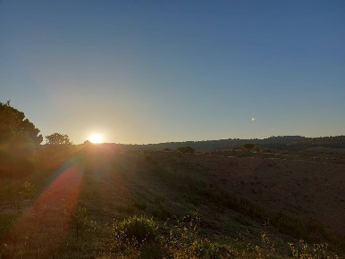 Foto Rustico in sp aione, Scansano di 239 m² con 10 locali in vendita