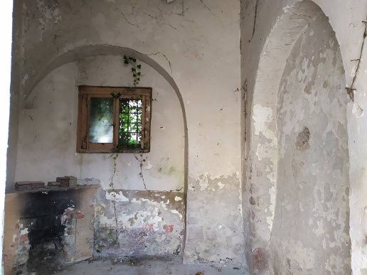 immagine annuncio 5 di 14