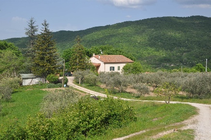 Foto Rustico in Strada Vicinale di Sant'Antonio, di 410 m² con 12 locali