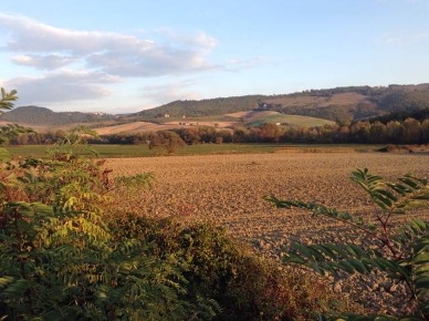 Foto Rustico a San Casciano dei Bagni Centro di 1850 m² con 10 locali