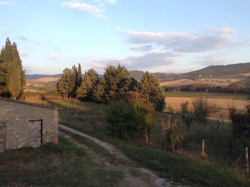 immagine annuncio 2 di 6