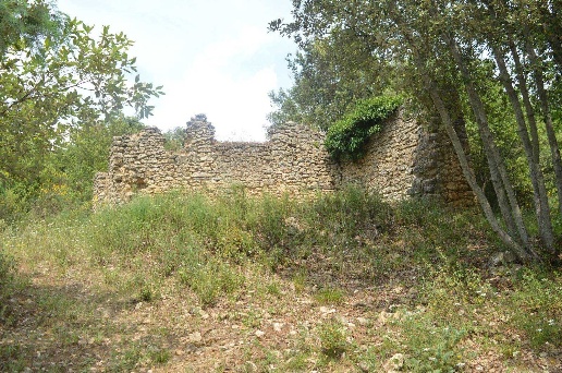 immagine annuncio 1 di 8