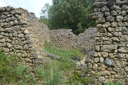 immagine annuncio 2 di 8