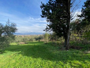 Foto Rustico a Poggio a Caiano Centro di 720 m² con 12 locali in vendita
