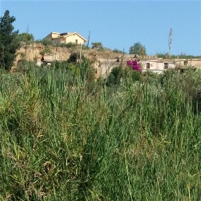 Foto Rustico a Sciacca di 500 m² con 25 locali in vendita