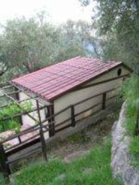 immagine annuncio 2 di 9