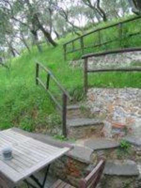 immagine annuncio 5 di 9