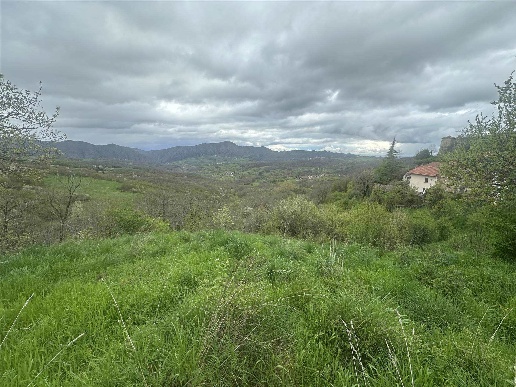 immagine annuncio 6 di 12