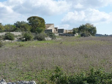 Foto Rustico a Palazzolo Acreide di 500 m² con 10 locali in vendita