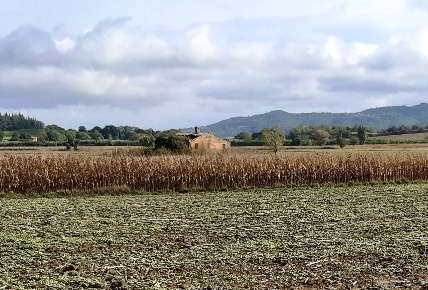 Foto Rustico a Cetona di 234 m² con 8 locali in vendita