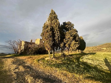 Foto Rustico a Santa Luce di 300 m² con 1 locali in vendita