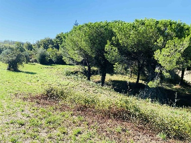 Foto Rustico a San Giuliano Terme Asciano, Agnano di 3400 m² con 15 locali