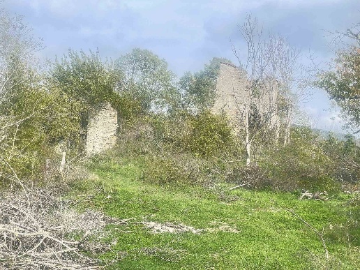 immagine annuncio 7 di 9