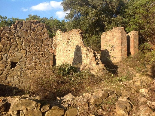 immagine annuncio 4 di 8