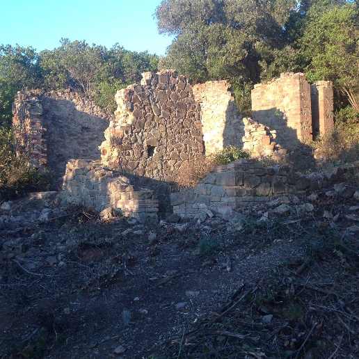 immagine annuncio 6 di 8