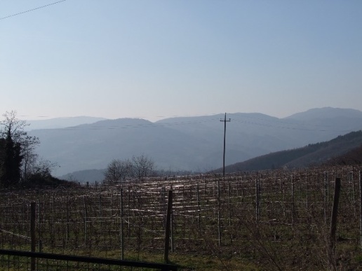 immagine annuncio 3 di 4