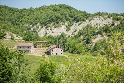 Foto Rustico a Morbello di 722 m² con 20 locali in vendita