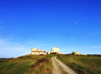 Foto Rustico a Asciano Centro di 1550 m² con 1 locali in vendita