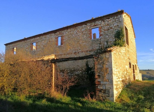 immagine annuncio 3 di 12