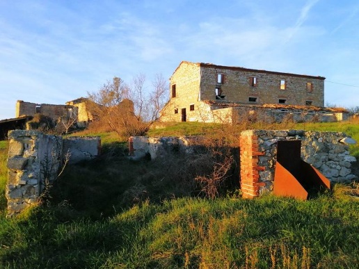 immagine annuncio 4 di 12