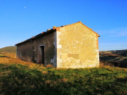 immagine annuncio 6 di 12