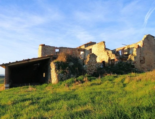 immagine annuncio 9 di 12
