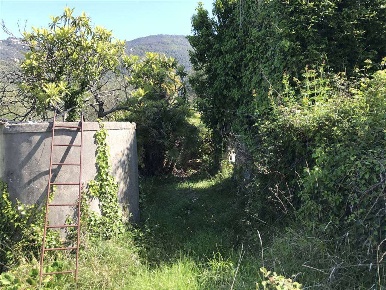 Foto Rustico a Perinaldo di 50 m² con 2 locali in vendita