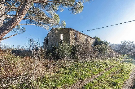 Foto Rustico a Suvereto di 1050 m² con 29 locali in vendita