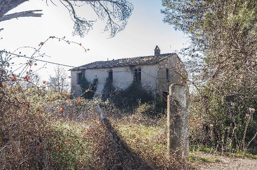 immagine annuncio 5 di 8