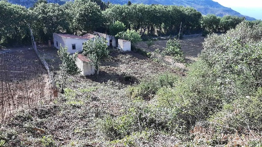 Foto Rustico in Contrada Vignale snc, Cefalù di 110 m² con 4 locali