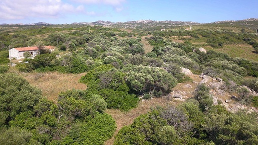 Foto Rustico a Aglientu Centro di 151 m² con 5 locali in vendita