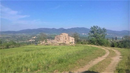 Foto Rustico a Orvieto Centro di 680 m² con 1 locali in vendita