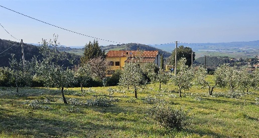 Foto Rustico in Via della fonte, Santa Luce Centro di 240 m² con 20 locali