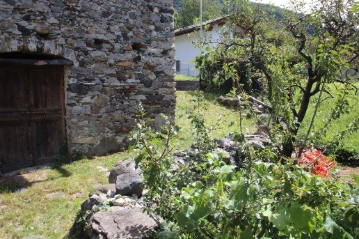 immagine annuncio 5 di 14