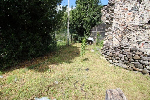 immagine annuncio 7 di 14
