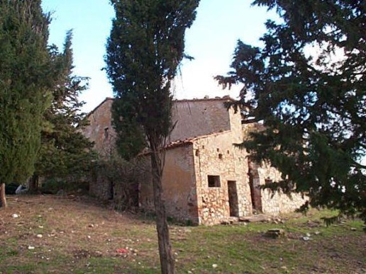 immagine annuncio 3 di 7