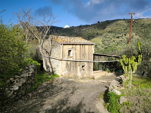 immagine annuncio 2 di 14