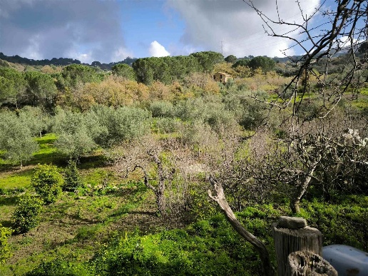 immagine annuncio 11 di 14