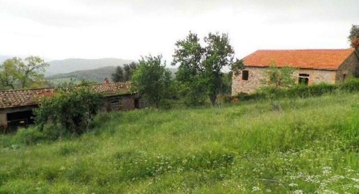Foto Rustico a Monteverdi Marittimo di 1600 m² con 20 locali in vendita