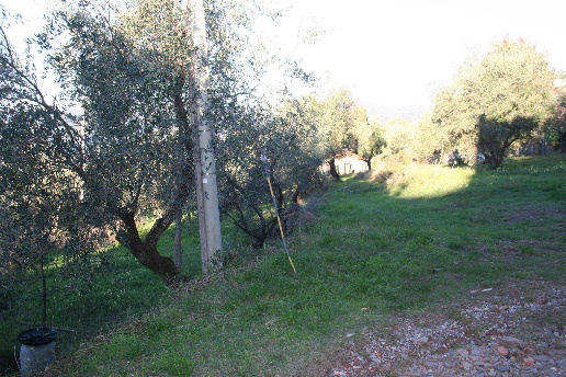 immagine annuncio 6 di 8