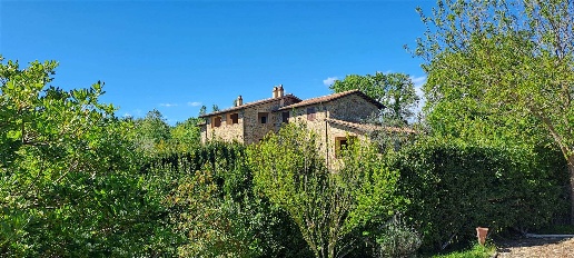 Foto Rustico a Scansano Pancole di 232 m² con 8 locali in vendita