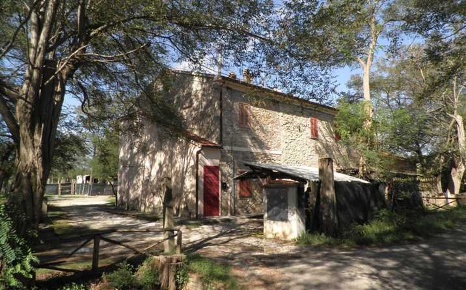Foto Rustico a Rosignano Marittimo Vada di 110 m² con 4 locali in vendita