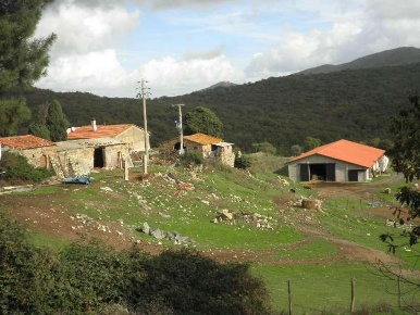 Foto Rustico in località Pantano, Riparbella di 1600 m² con 25 locali